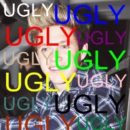 Niall is ugly, can't sing and he should die