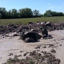 Colby - @ColbyHill1997 - Twitter