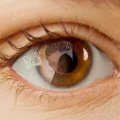 ipansetiawan7's profile picture. 