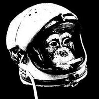 Shoibal Chakravarty (@spacem0nk3y) 's Twitter Profile