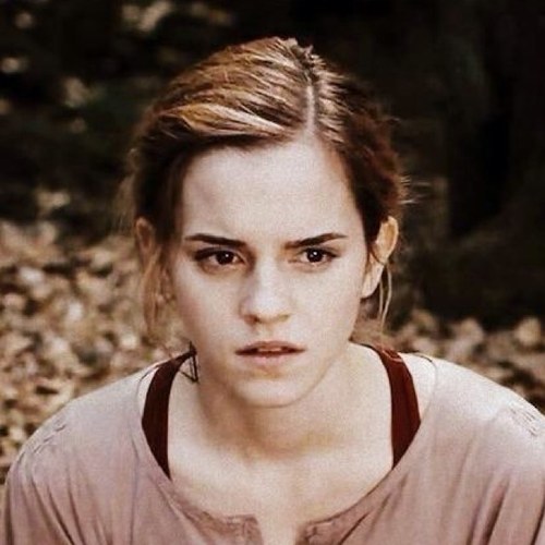 I'm Hermione Jean Granger. [RpOnly] ♥I'm The Gryffindor Princess I ship Anything.