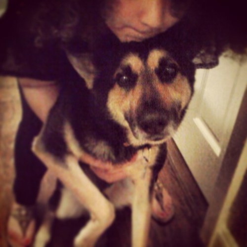 nmontero1221's profile picture. 