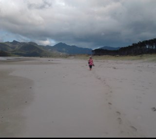 carolpottow's profile picture. 