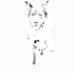 Starkeepermusic's profile picture. EP Find Desire - https://t.co/1vjfnYVxx1 Not simply promising, just perfect De Wereld Morgen