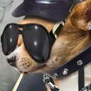 fletcher rowe - @ChickeRowe - Twitter