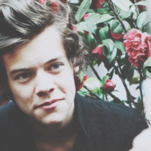 please follow @harrystarbxcks and i will follow you back x