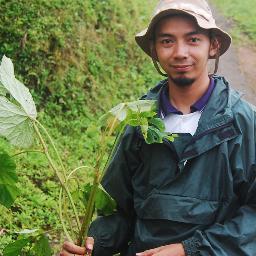 Tropical Botanist, Plant Taxonomist, UF Plant Breeding PhD Student
Visit: https://t.co/3RKqtgvpwt to know Indonesia plant biodiversity checklist.