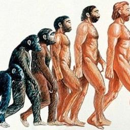 kurirona7777's profile picture. 公務員からニートへ！これは人類の進化にとって大きな一歩である。