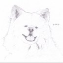 ちあき (@09BUFFALO22) Twitter