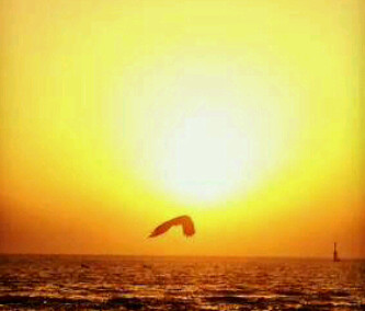 KuldeepMore2's profile picture. Cooldeep - this says it all...