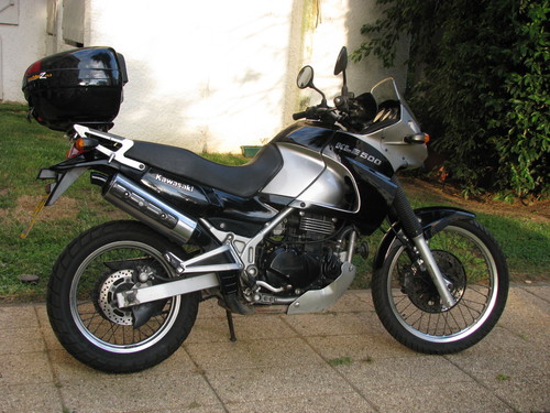 rotemshan's profile picture. 