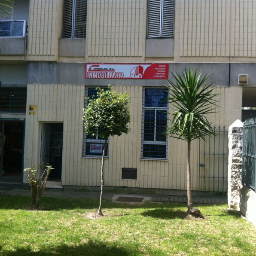 masalgu1995's profile picture. 