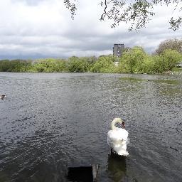 We are campaigning to protect the unique Welsh Harp open space and nature reserve in Barnet from over-development by Barratt Homes