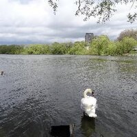 Save Welsh Harp (@welsh_harp) 's Twitter Profile