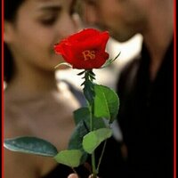 عاشق الازهار (@mogram2303) 's Twitter Profile