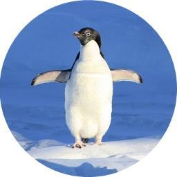 МИР ЦИФРОВЫХ ТОВАРОВ - ПИН-КОДЫ, КОДЫ ДОСТУПА, ВАУЧЕРЫ, ИГРЫ, АНТИВИРУСЫ, КАРТЫ ВИЗА ВИРТУАЛ...