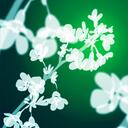 Jane Chen - @janechensm - Twitter