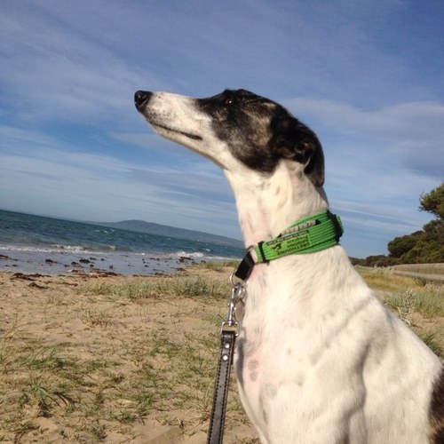 BelindaJEllis's profile picture. 