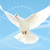 Gain real insights into vital spiritual topics http://t.co/AS3gpVpp. Get psychic & tarot news or just connect with one of our 400+ readers: http://t.co/7p9vOqNv