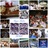 _XXIX2013's profile image