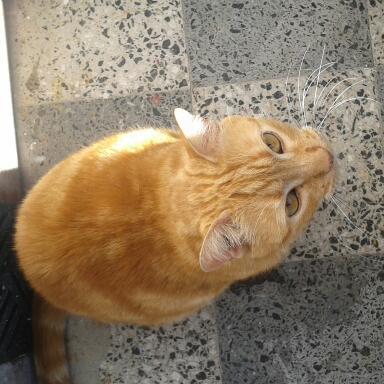 adricol64's profile picture. 