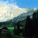 Geraldine Donaldson - @Geraldine21D - Twitter