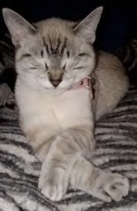 gapoc's profile picture. Piloto que no vuela, Contador que no cuenta, soñador que no duerme. Ese soy yo. Loco de convicción, cuerdo por conveniencia.