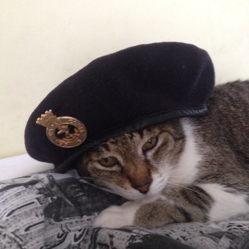 ConayUK's profile picture. This place is mostly full of politics...or me being weird. Personal account, all views are (or were at some point in the last 5 years) mine.