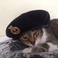 ChapW/The Spectacles (@conayuk) 's Twitter Profile