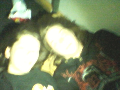 mireilleevertz's profile picture. blub