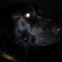 Dale Sullivan - @dj34123 - Twitter