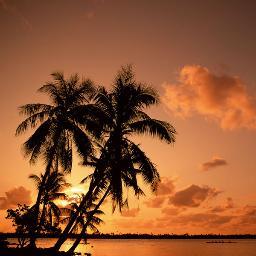 kinitop1st's profile picture. 