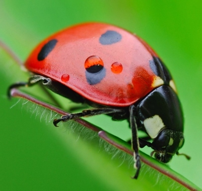 writingbuguk's profile picture. writingbug is a creative copywriting, editing and blogging partnership: http://t.co/igPeWT3H9x