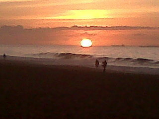 twinpicas's profile picture. 