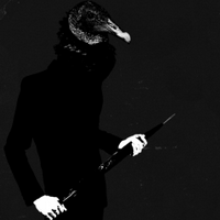 Roel Frison (@rofr) 's Twitter Profile
