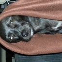 Trish Shaw - @TrishShaw2 - Twitter