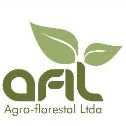 Serviços, produtos e subprodutos florestaIs, biomassa para geração de energia. Negócios: florestais e minerais.