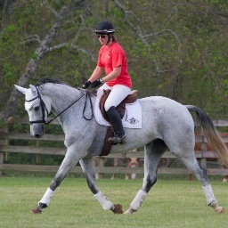 ginnymharrison's profile picture. 