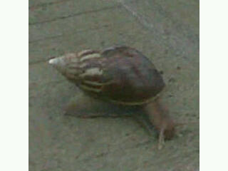 YoenTaGa's profile picture. Don't understand why tweeting. But happy to do it :) follow me n I follow u back.