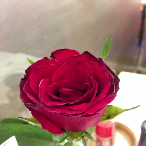 0708Nui's profile picture. 