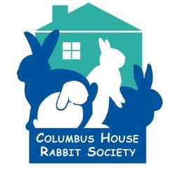 Rabbit Rescue, Adoption, and Education in Columbus Ohio