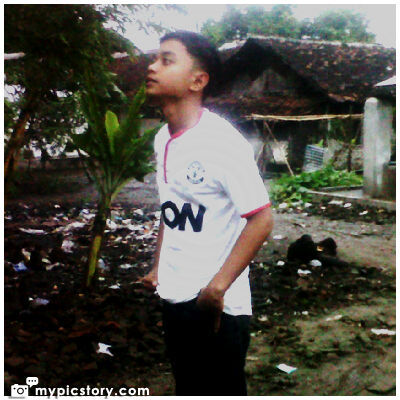 Optimis