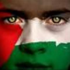 ArdhiNuman's profile picture. 