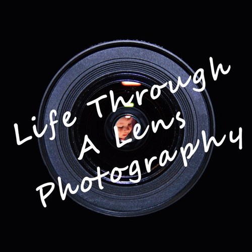 LifeLensPhotos's profile picture. 