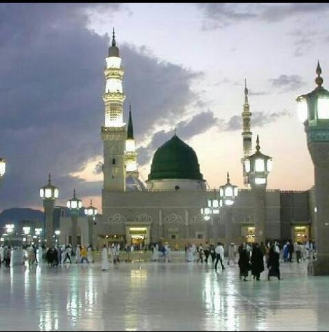 AmalAalhamed Profile Picture