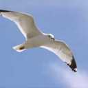 hadool mohamed (@00Hadool) Twitter