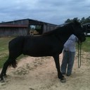 Nathan Haddock - @HaddockHaddock - Twitter