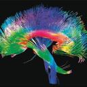 Joe Kulas - @JoeKoolPhD - Twitter