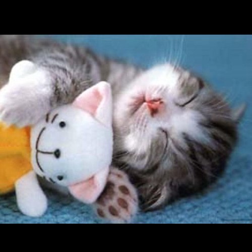 nwad0001's profile picture. 