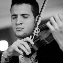Violinista Profissional